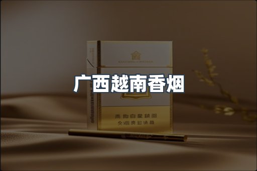 广西越南香烟